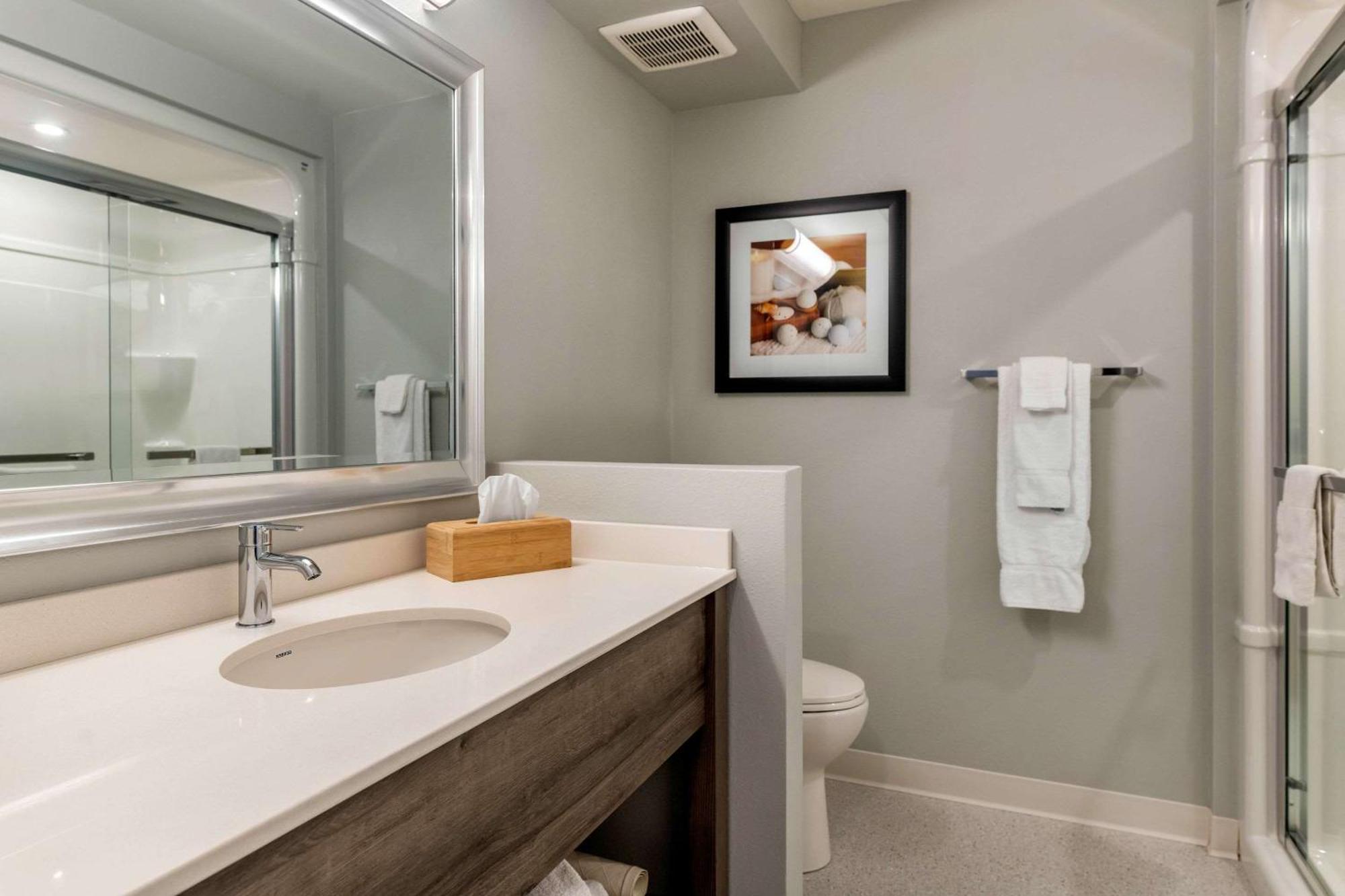 Quality Inn & Suites Amsterdam Фредериктон Экстерьер фото