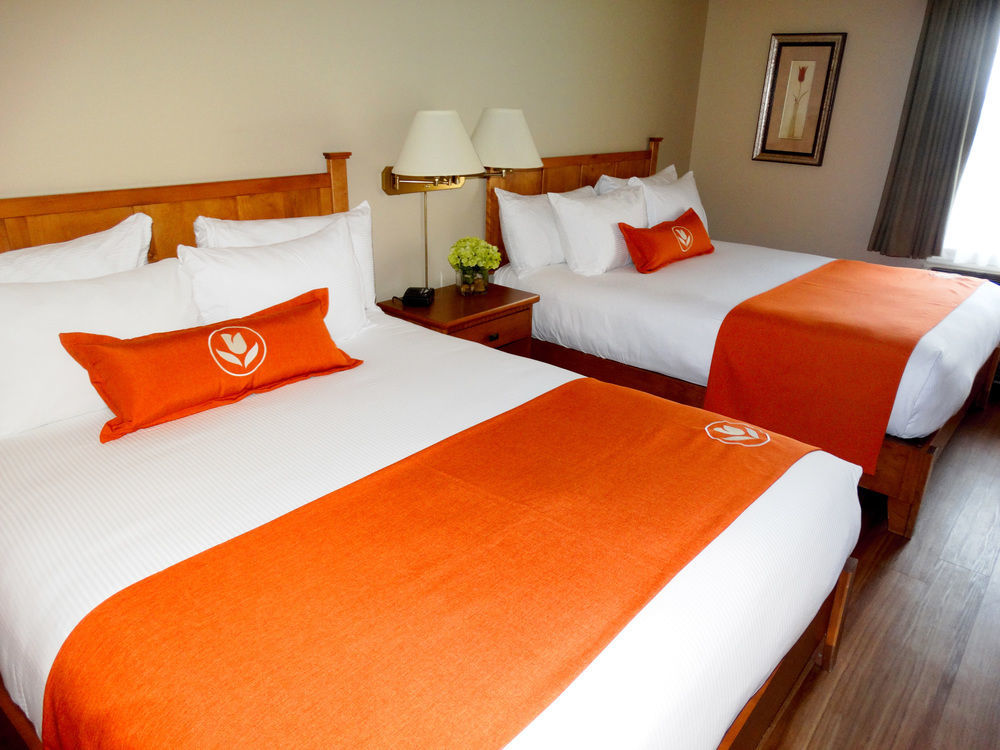 Quality Inn & Suites Amsterdam Фредериктон Экстерьер фото