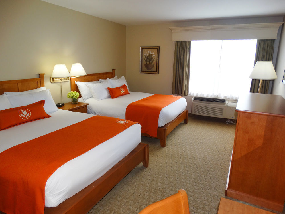 Quality Inn & Suites Amsterdam Фредериктон Экстерьер фото