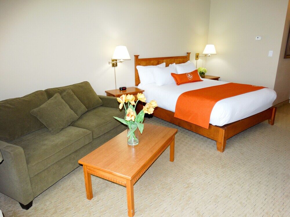 Quality Inn & Suites Amsterdam Фредериктон Экстерьер фото